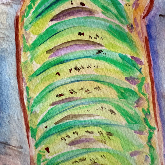 Avocado Toast & Berries original gouache painting - 7x10 inch Vancouver brunch art by Art by Krit - contemporary kitchen wall decor