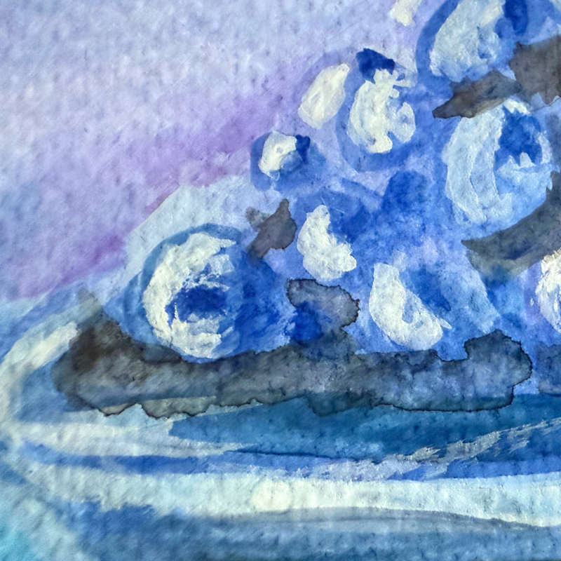 Blueberry bowl study original gouache painting - 7x10 inch monochromatic blueberry art by Vancouver artist Art by Krit